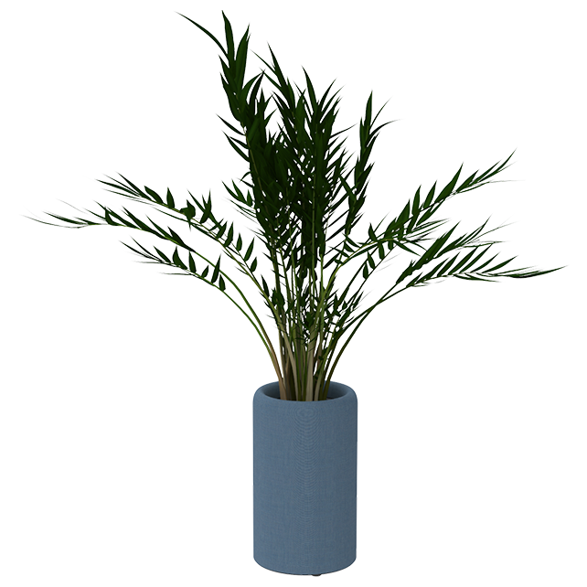 BuzziPlanter