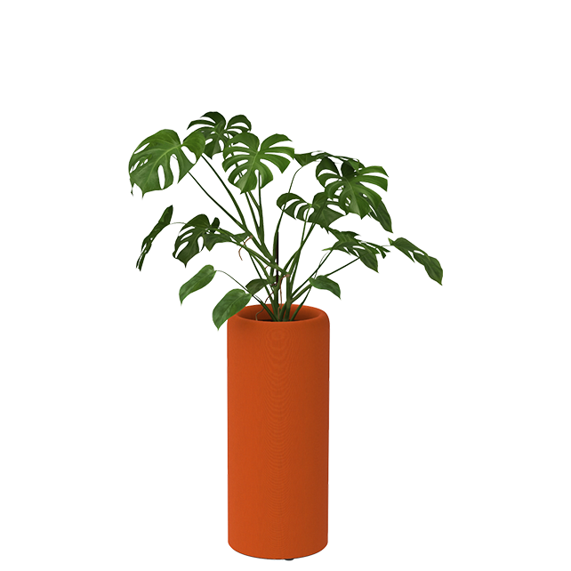 BuzziPlanter