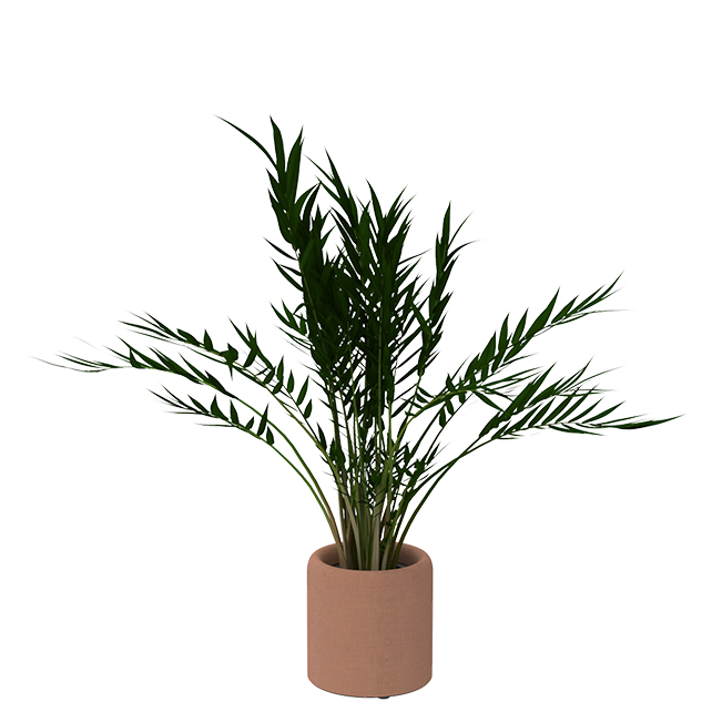 BuzziPlanter