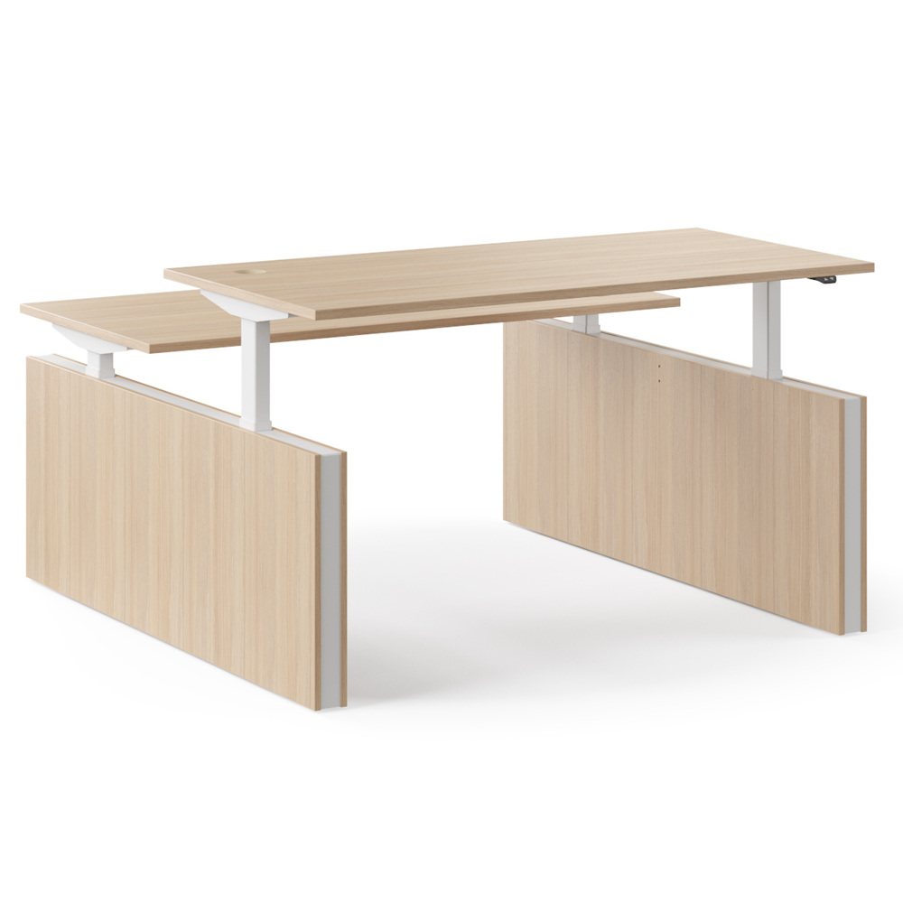 Elektrisch zit-sta bureau Motion duo