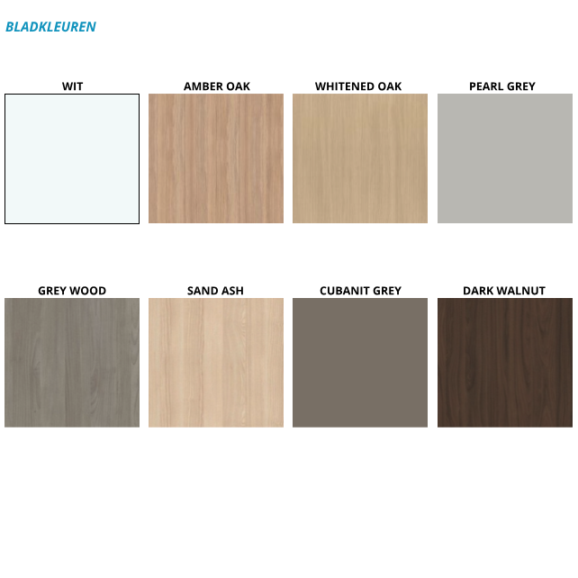 Elektrisch zit-sta bureau Motion duo