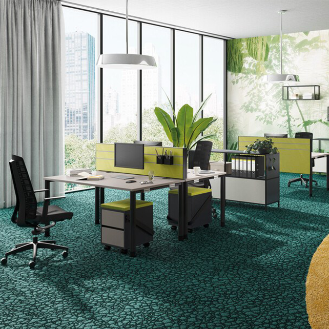 Terio Plus Opzetwand basic