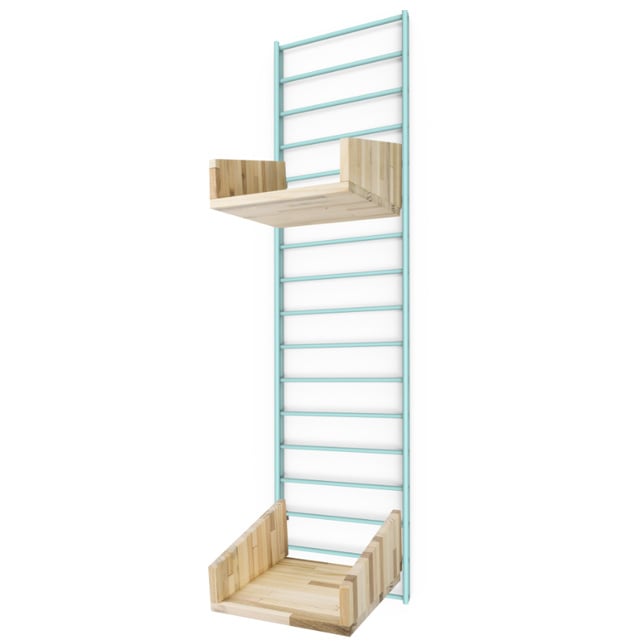 Cantor Fency Wandrek