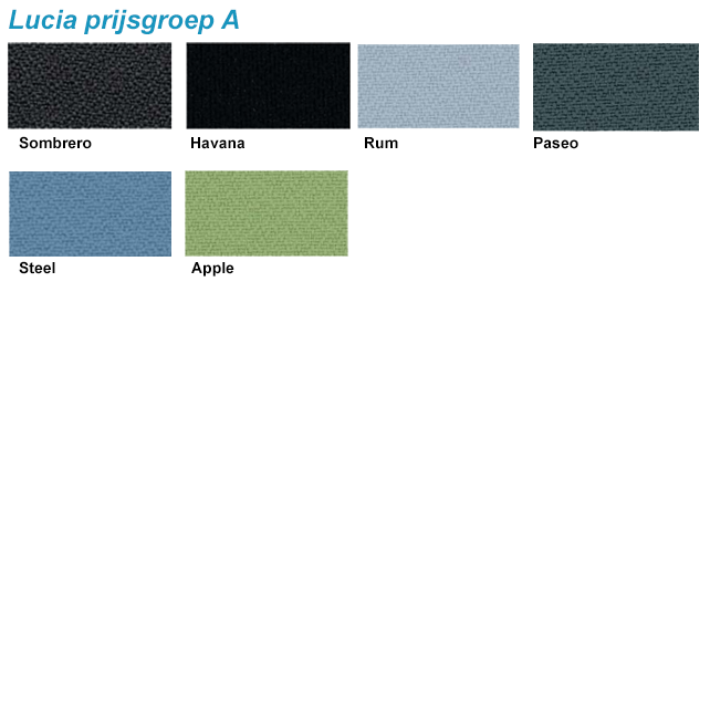 Terio Plus scheidingswand