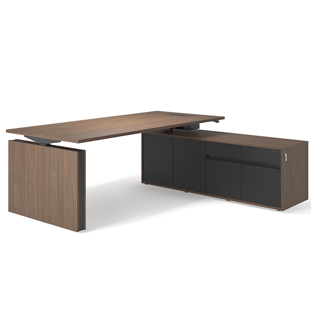 Directiebureau Motion Executive zit-sta