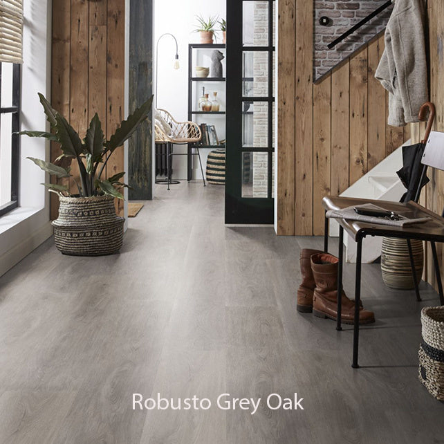 Ambiant Robusto Dryback