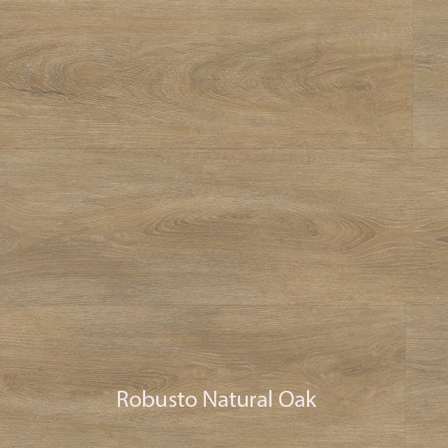 Ambiant Robusto Dryback