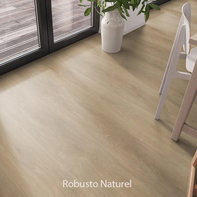 Ambiant Robusto Dryback