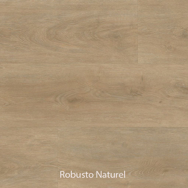 Ambiant Robusto Dryback