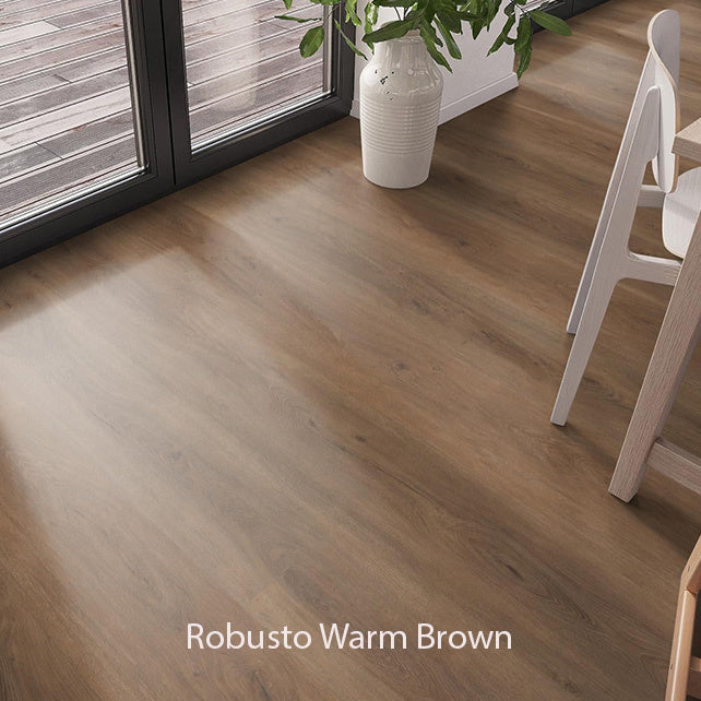 Ambiant Robusto Dryback