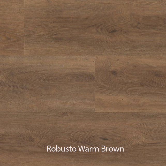 Ambiant Robusto Dryback