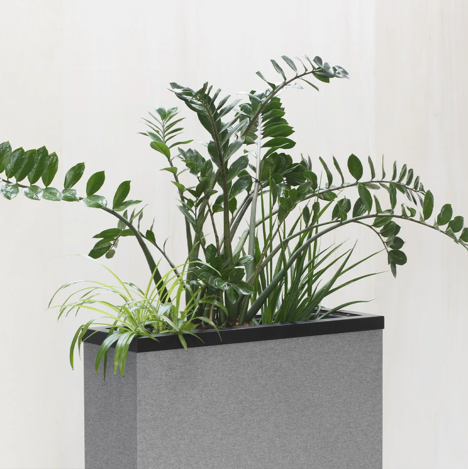 Akoestische plantenbak SENA