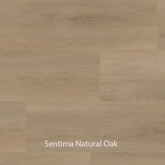 Ambiant Sentima Dryback