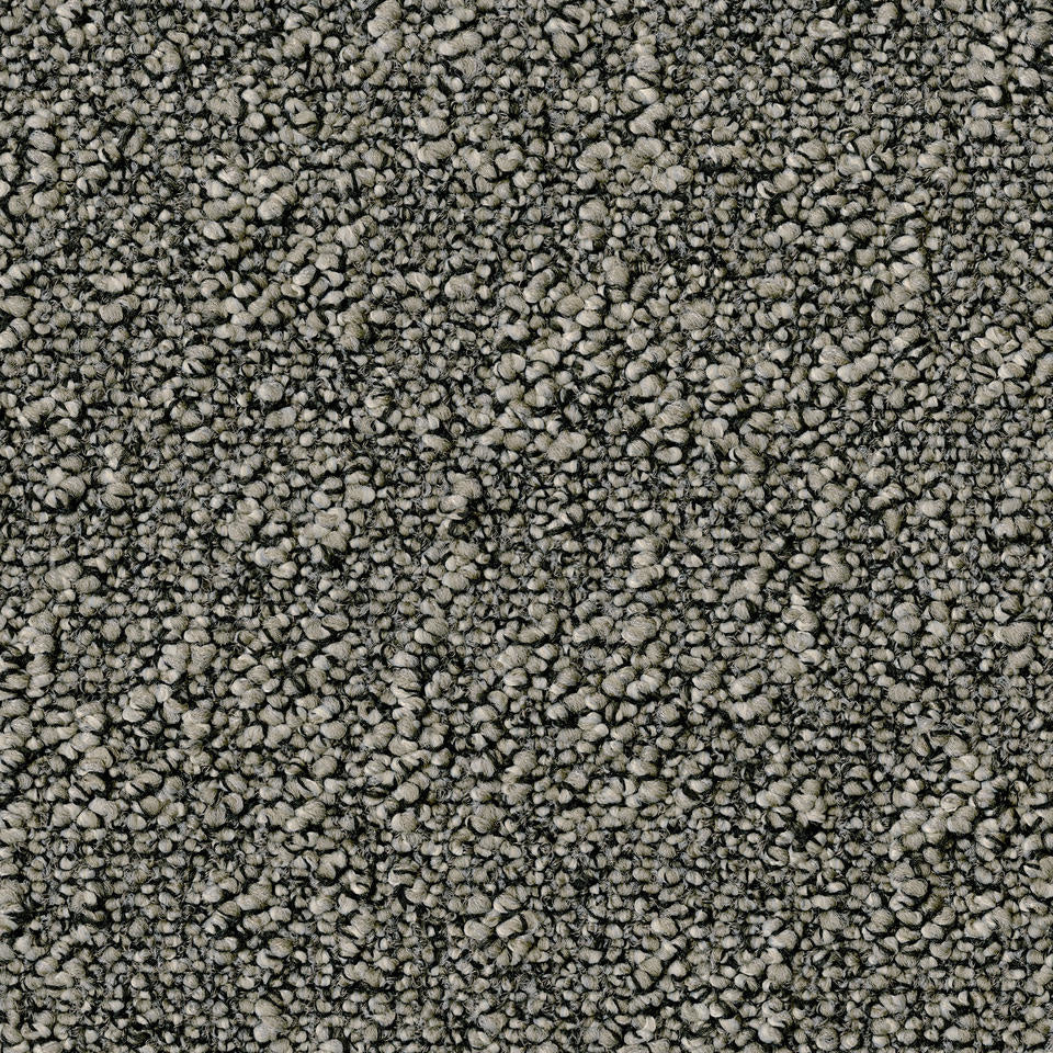 Desso Tarkett Airmaster Earth