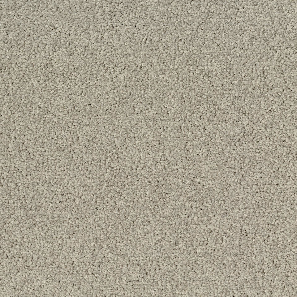 Desso Tarkett Palatino