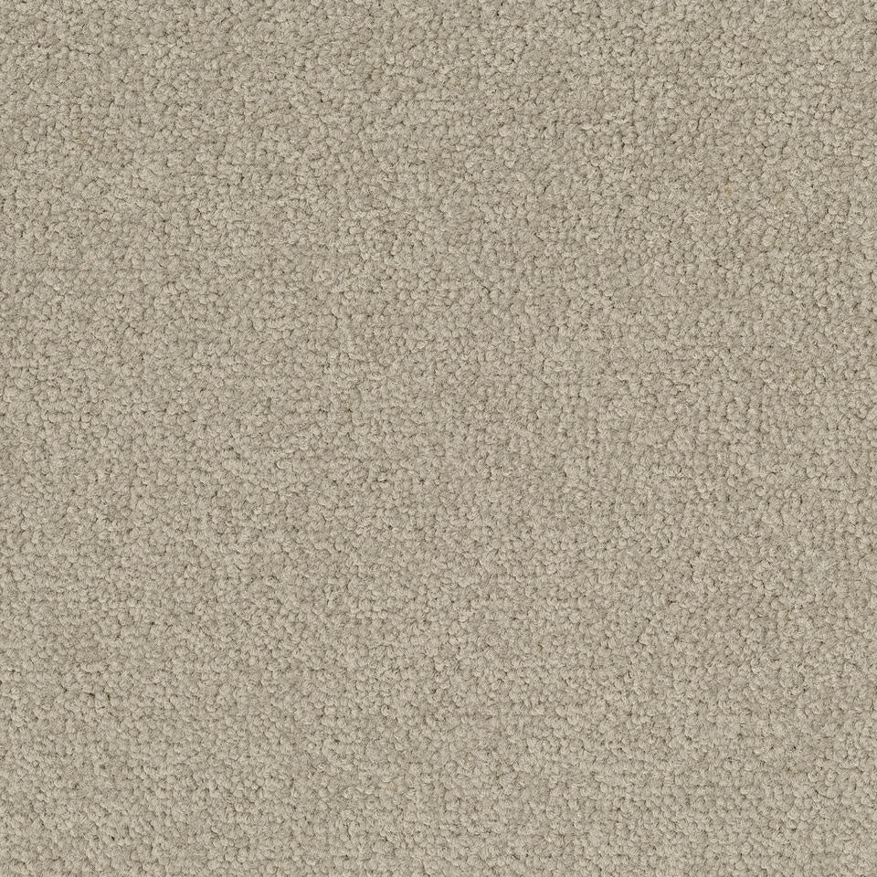 Desso Tarkett Palatino