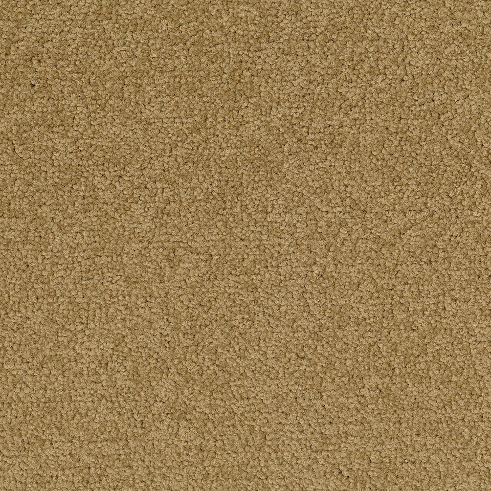 Desso Tarkett Palatino