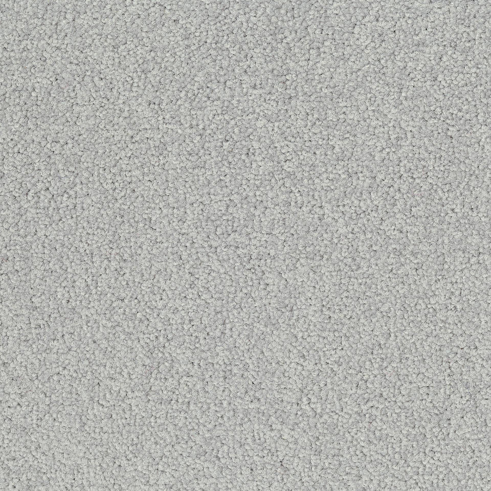 Desso Tarkett Palatino