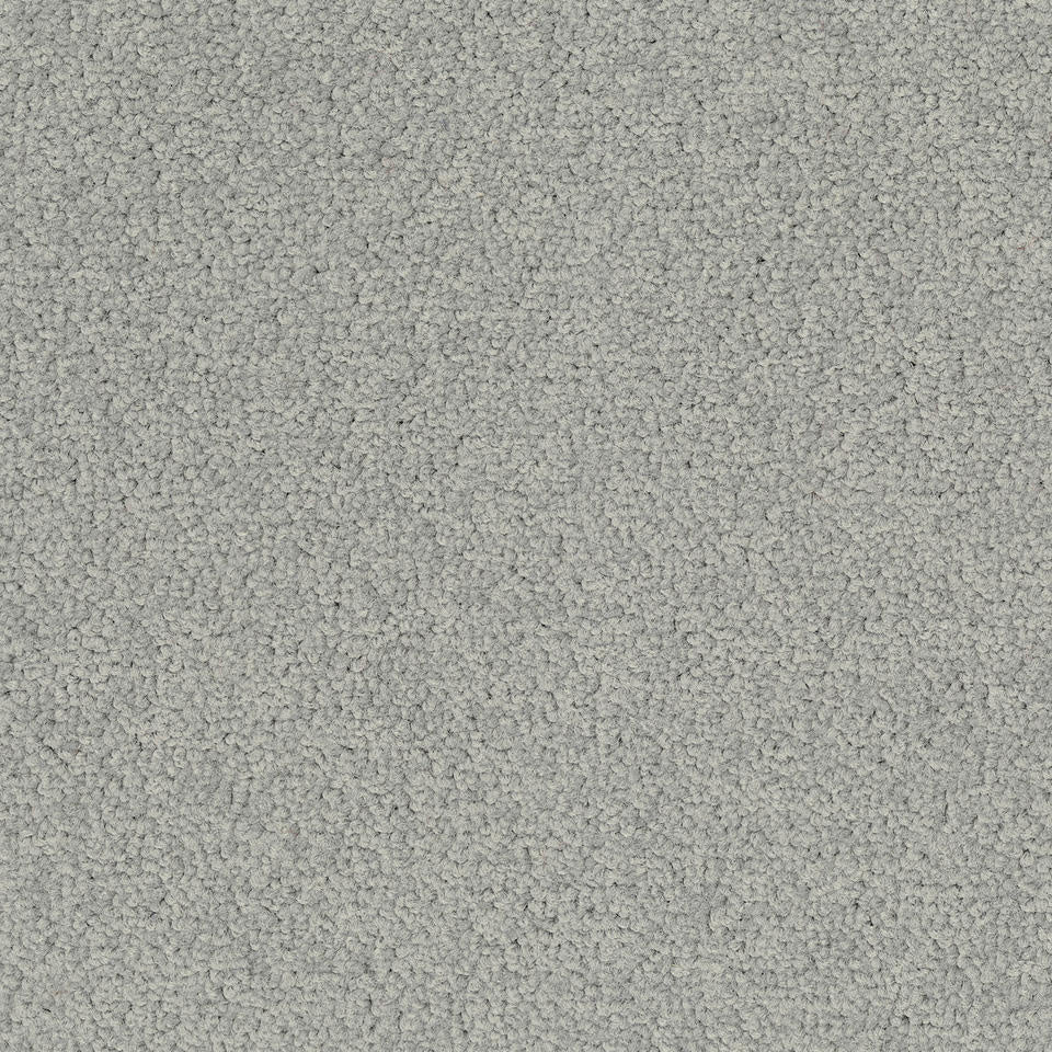 Desso Tarkett Palatino