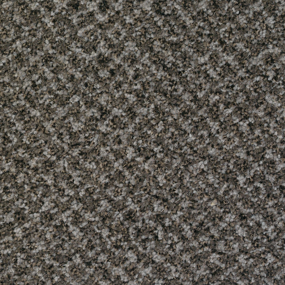 Desso Tarkett Protect