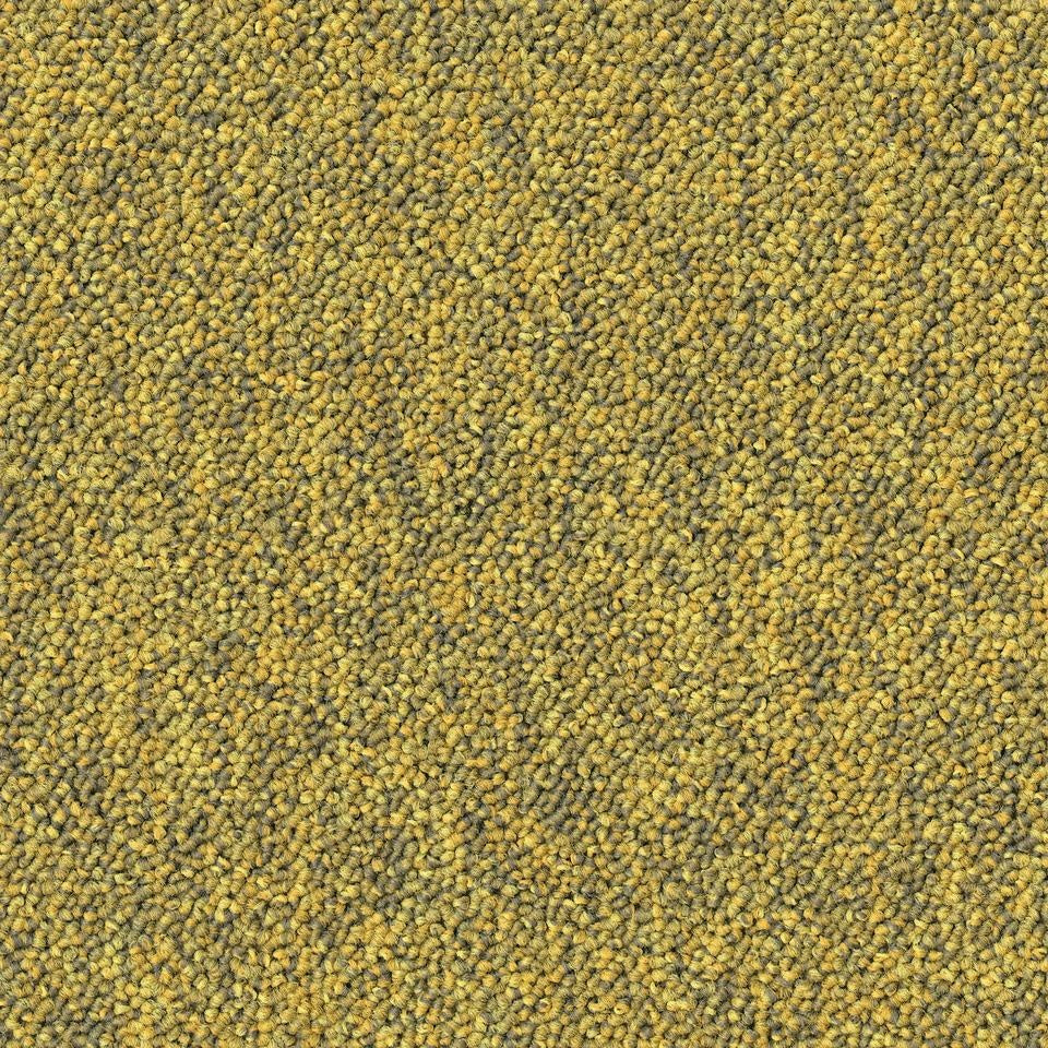 Desso Tarkett Stratos